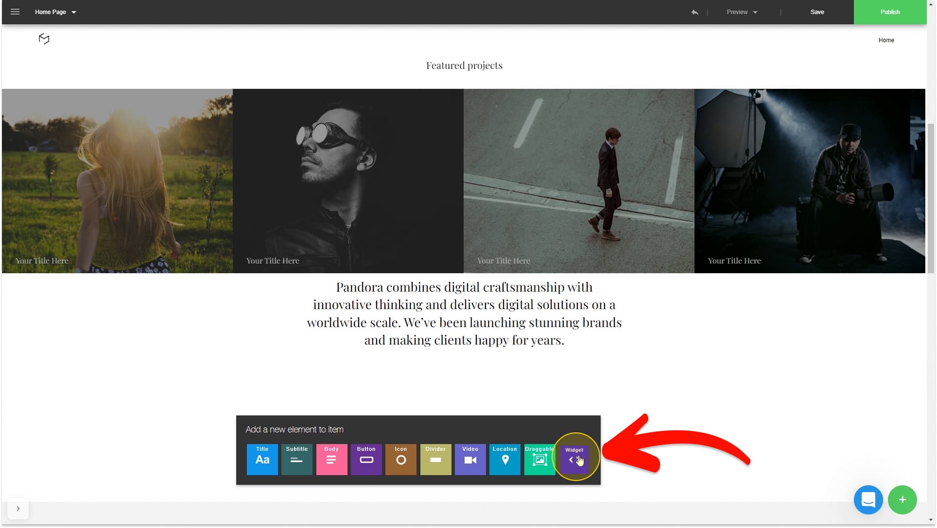 Click the Widget element