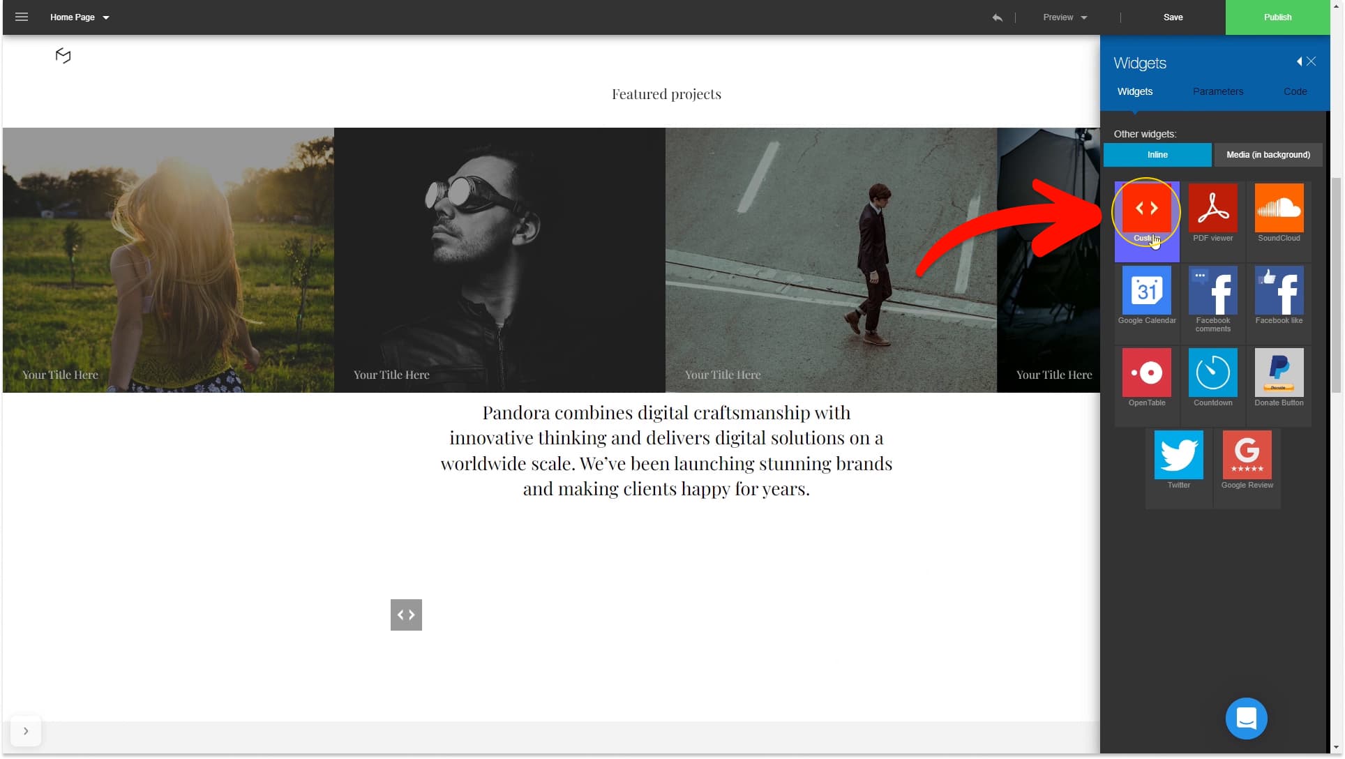 Select Custom widget