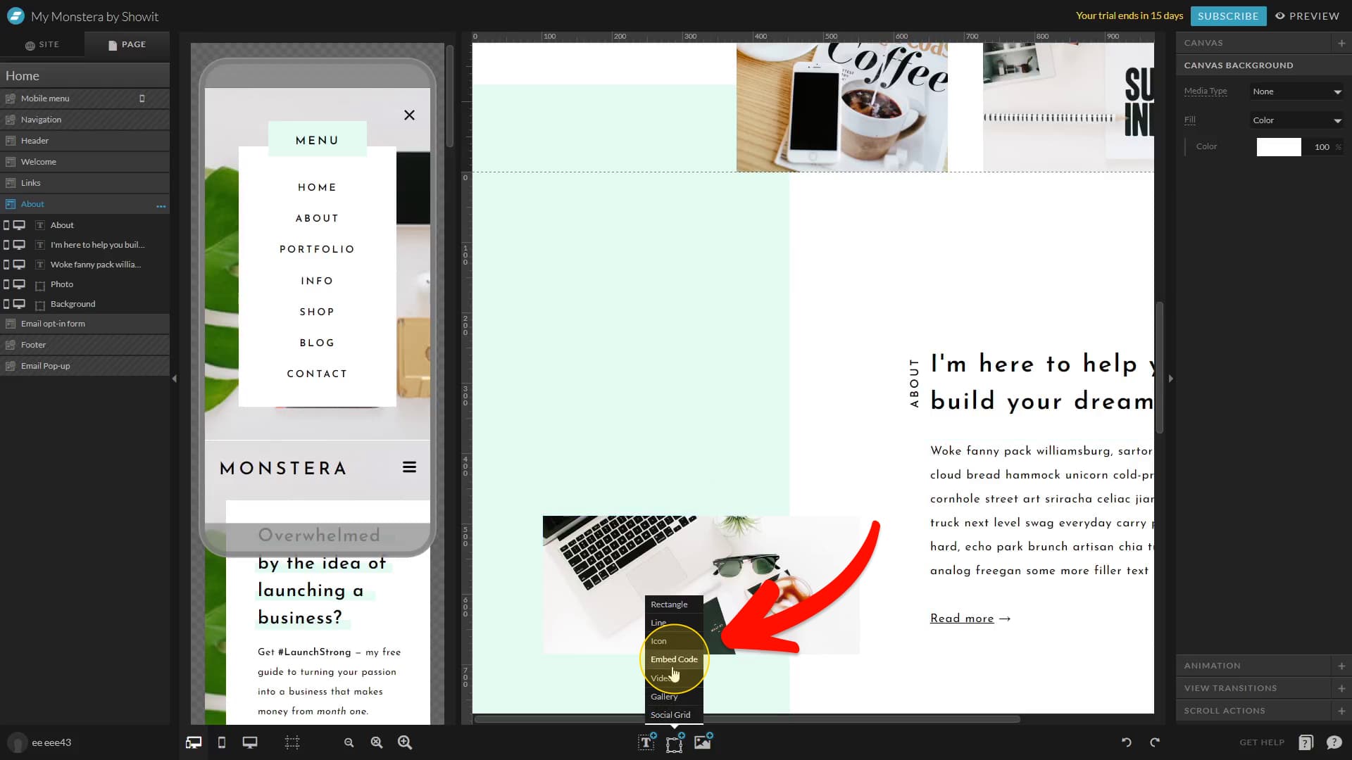 how-to-add-widget-showit-1
