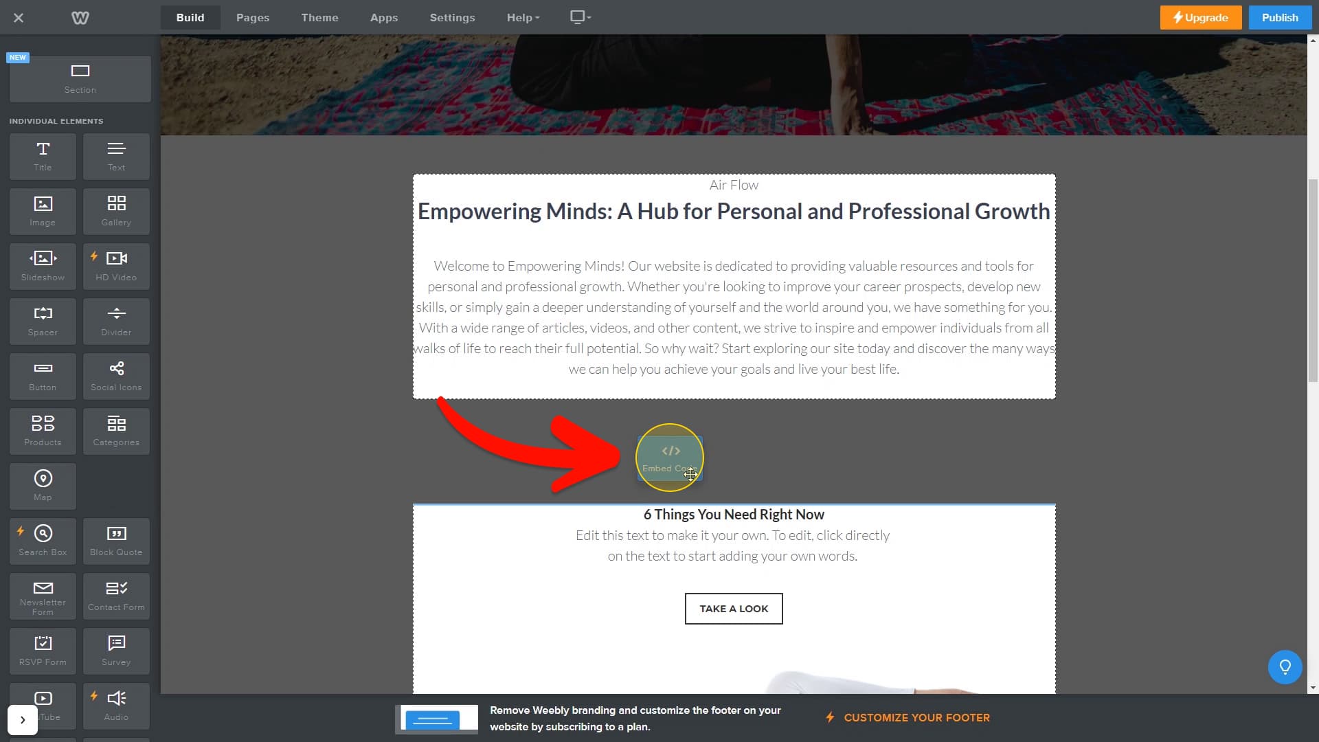 Place Embed Element