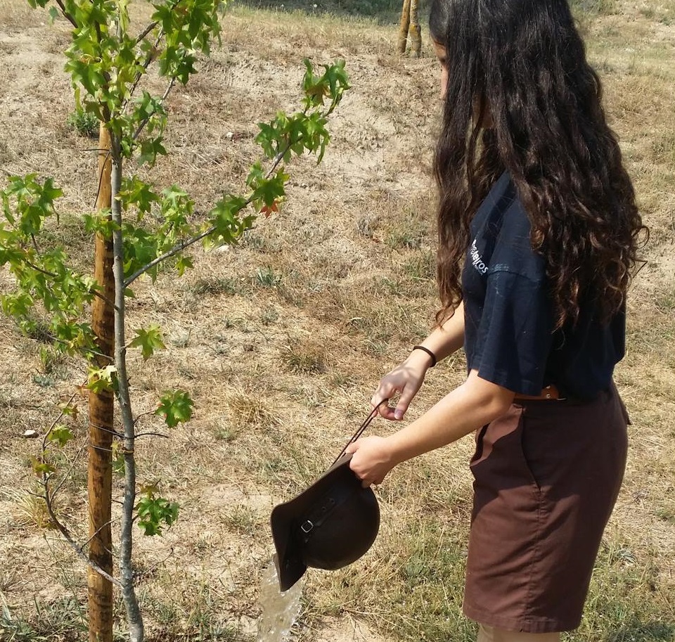 Ações Comunitárias