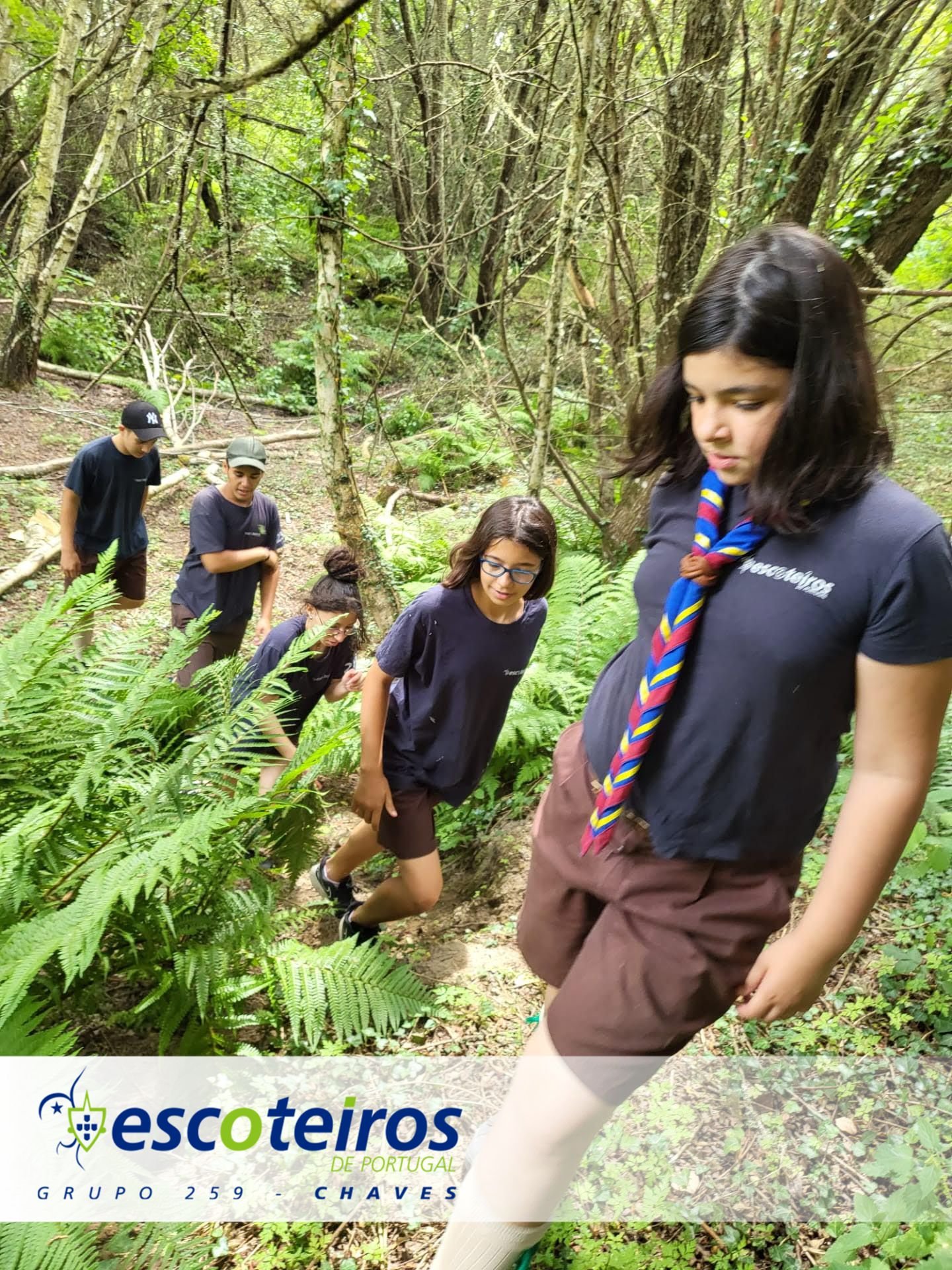 Caminhadas e Trilhos