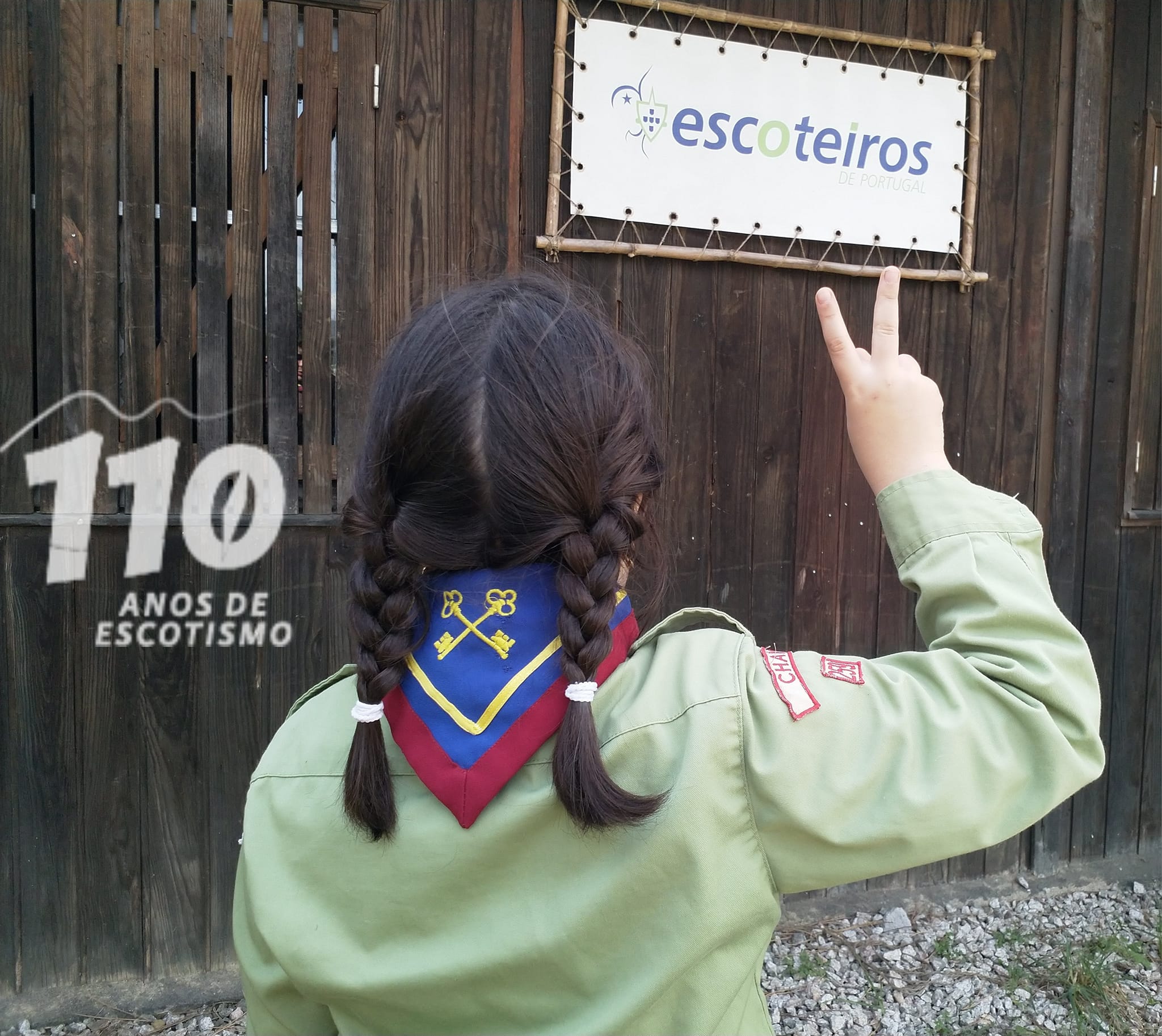 Formação e Progressão