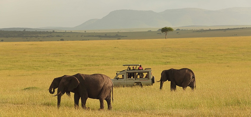 Masai Mara, Kenya
