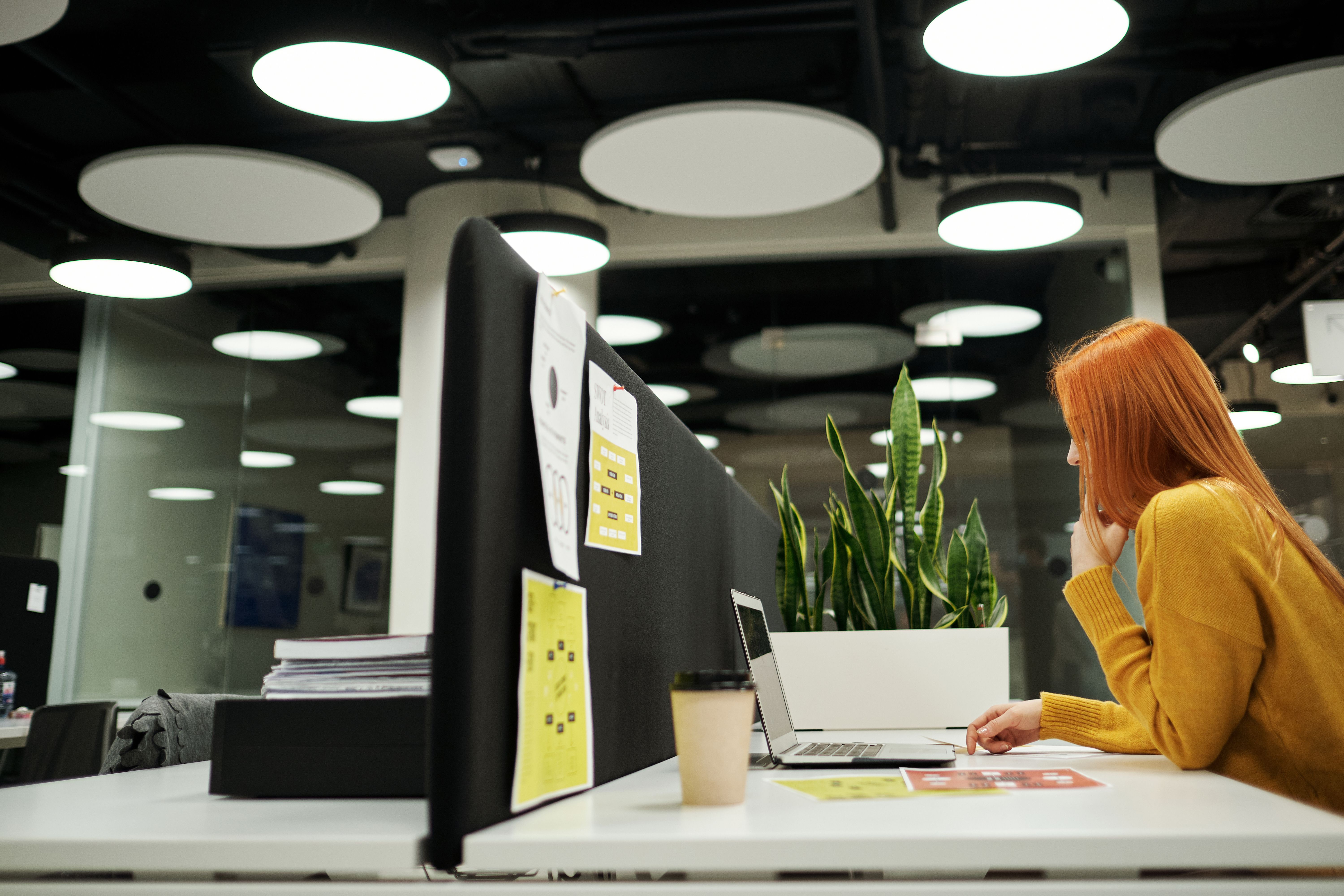 Tax Services
